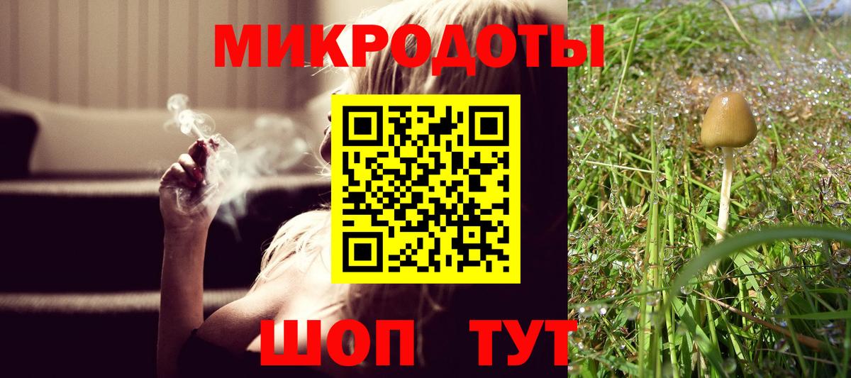 Псилоцибиновые грибы Psilocybe  Вход с VPN  Сыктывкар 